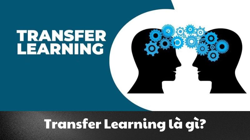 Transfer Learning là gì? Khám phá sức mạnh tiềm ẩn của AI
