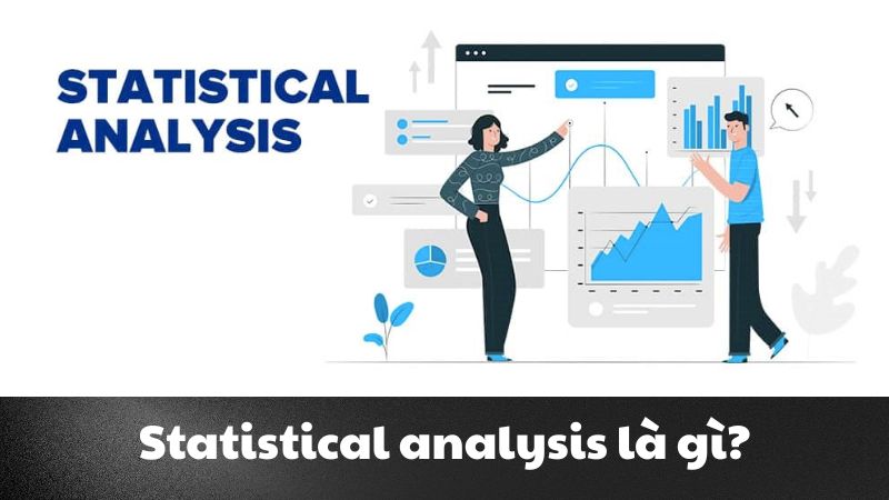 Statistical analysis là gì? Bản đồ dẫn lối thế giới dữ liệu