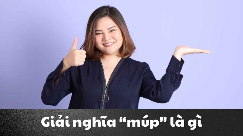 Múp là gì? Giải mã ý nghĩa và những điều thú vị về “múp”