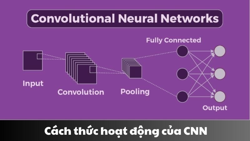 Convolutional neural networks là gì 1