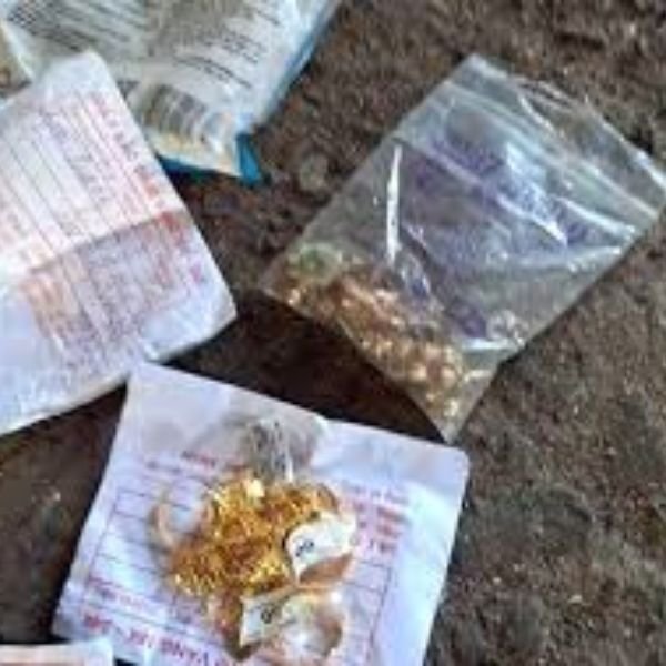 1 cây vàng trol bằng hạt vàng