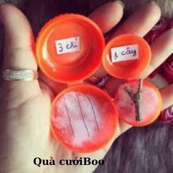 1 cây vàng troll quà cưới