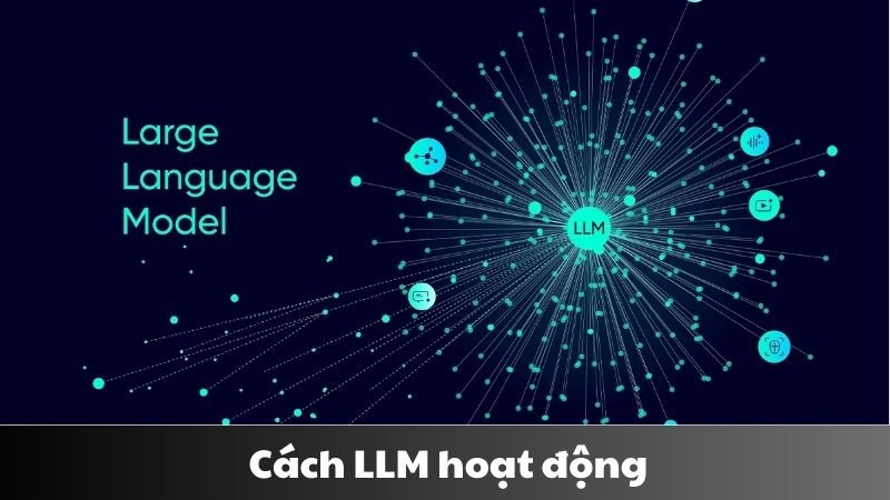 LLM là gì 3