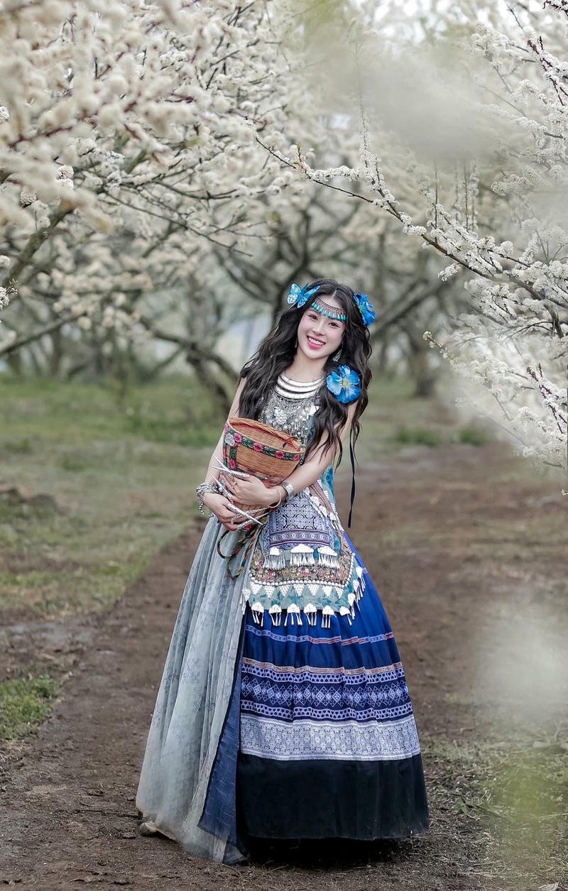 Gái xinh dân tộc chụp hoa mận