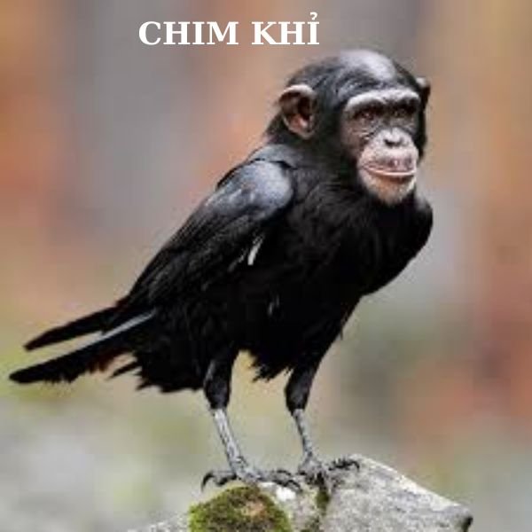 ảnh chim khỉ troll