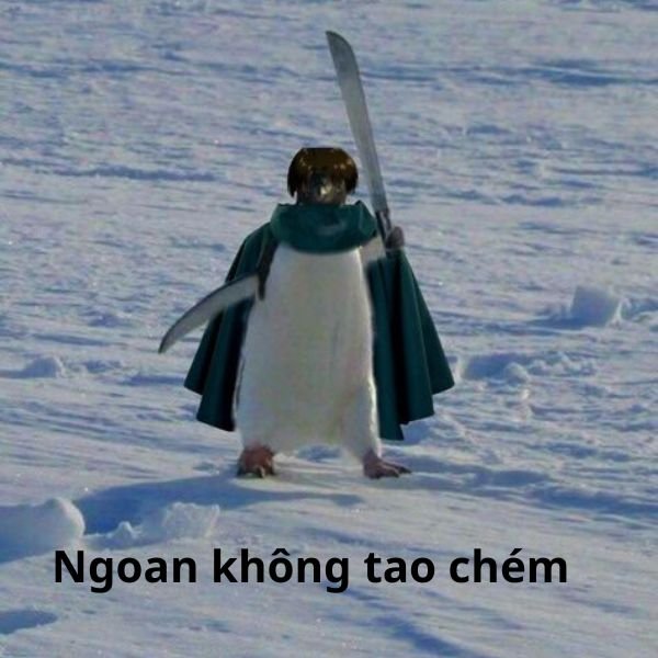 ảnh chim troll cầm dao