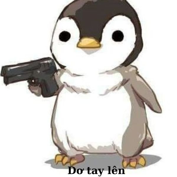 ảnh chim troll cầm súng