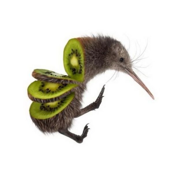 ảnh chim troll cắt làm 3