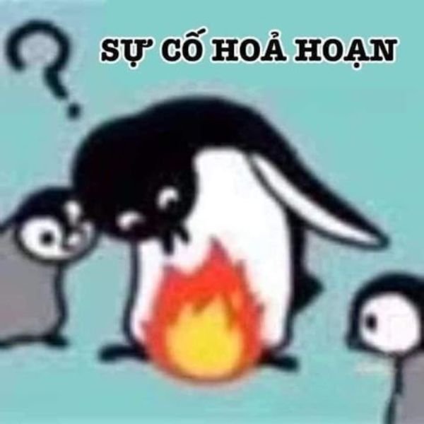 ảnh chim troll cháy tờ rim