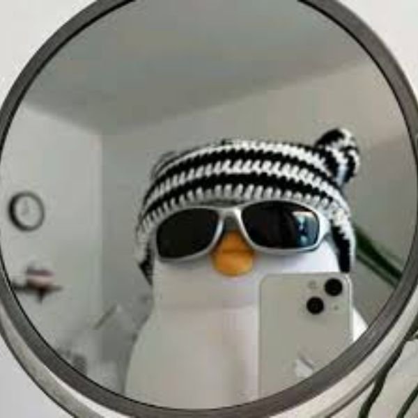 ảnh chim troll đại gia