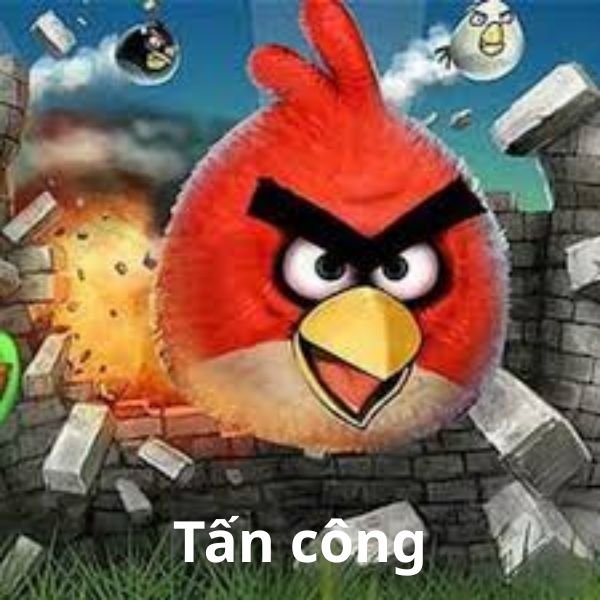 ảnh chim troll đánh nhau