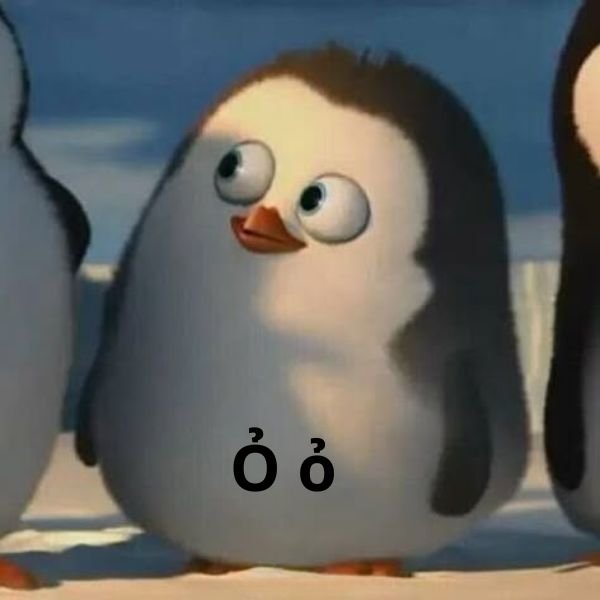 ảnh chim troll ỏ