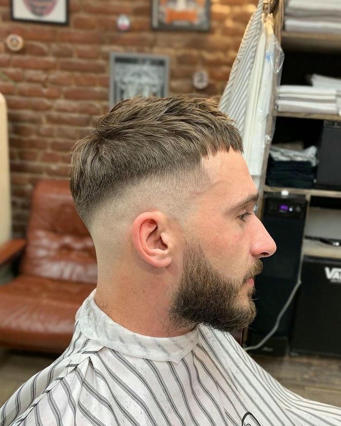 ảnh crew cut