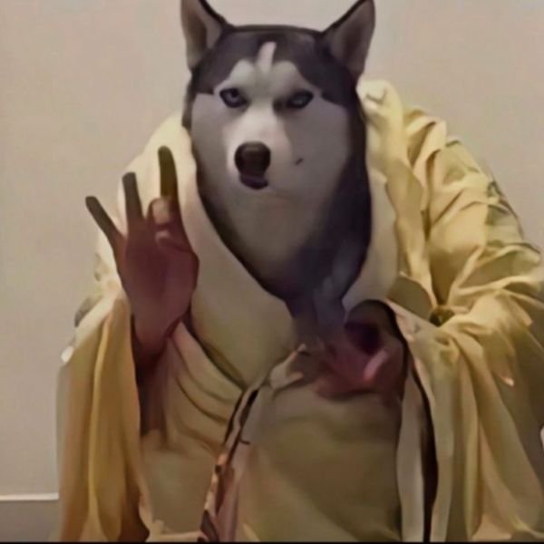 ảnh đại diện troll chó thiện tai