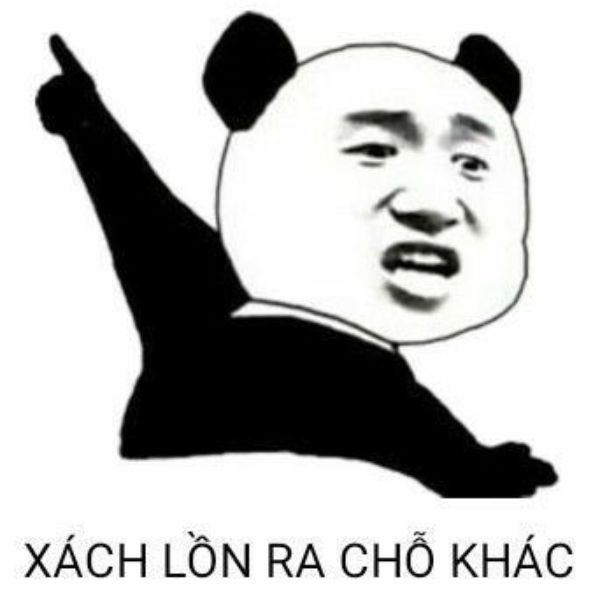 ảnh đại diện troll gấu chửi