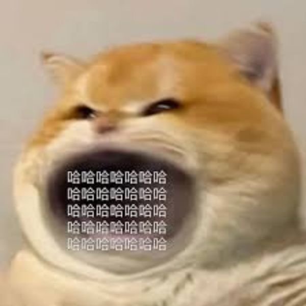 ảnh đại diện troll