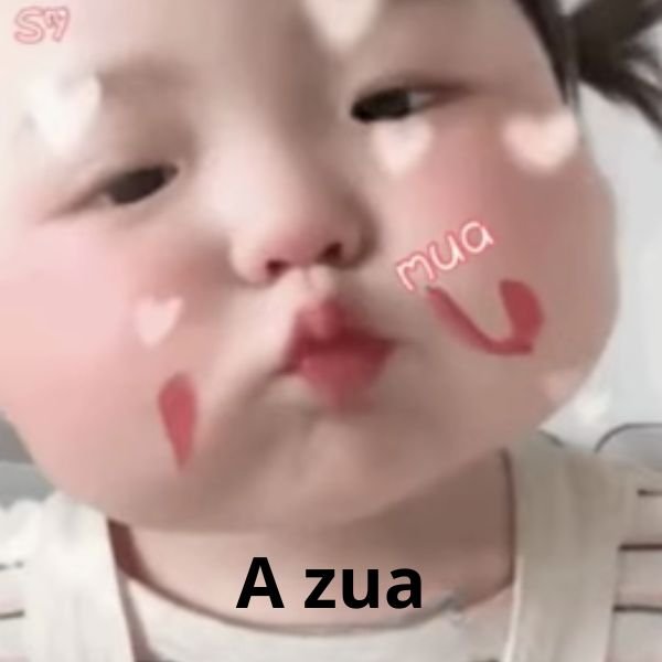 ảnh hôn troll chu mỏ