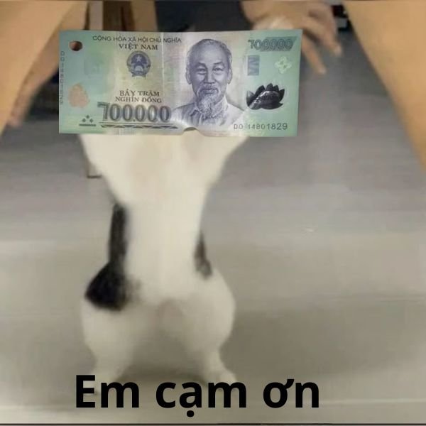 ảnh lì xì troll em cạm ơn