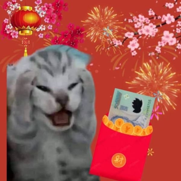 ảnh lì xì troll mèo