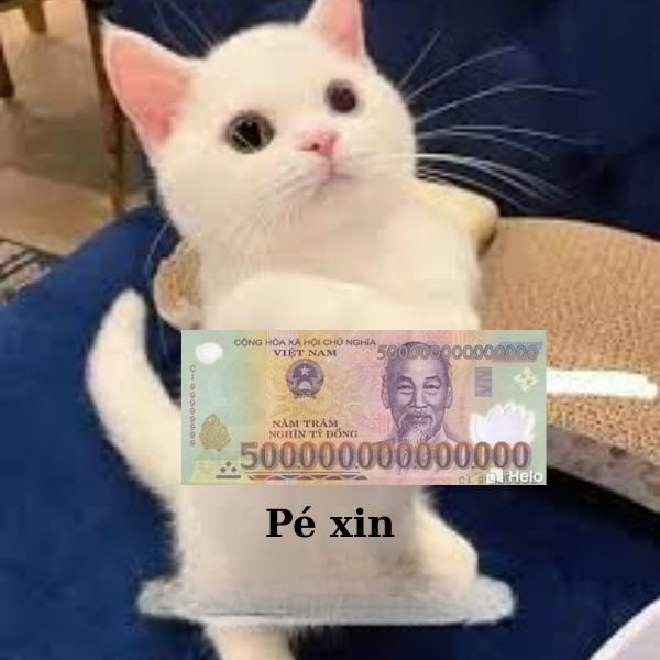 ảnh lì xì troll pé