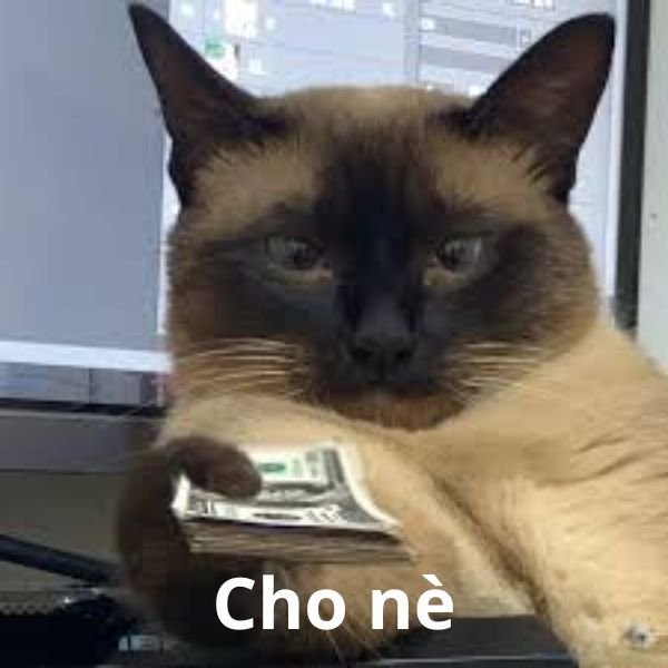 ảnh tay cầm tiền troll cho nè cưng ơi