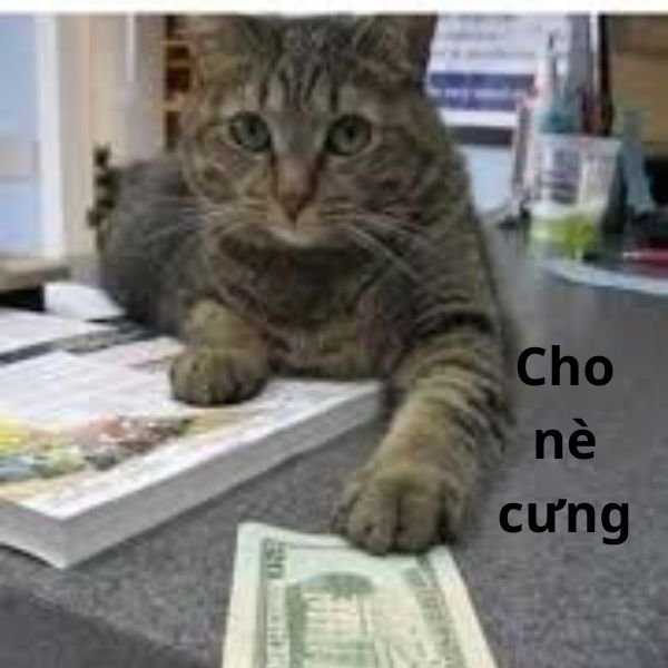 ảnh tay cầm tiền troll cho nè