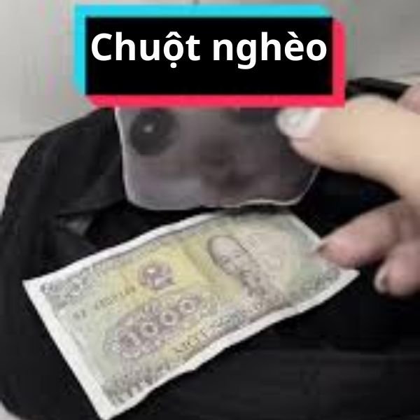 ảnh tay cầm tiền troll chuột nghèo