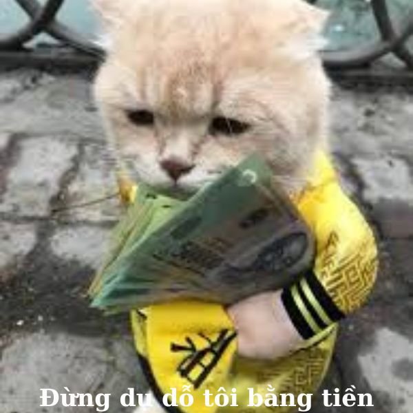 ảnh tay cầm tiền troll dụ