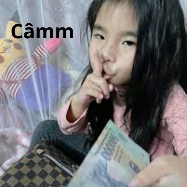 ảnh tay cầm tiền troll và