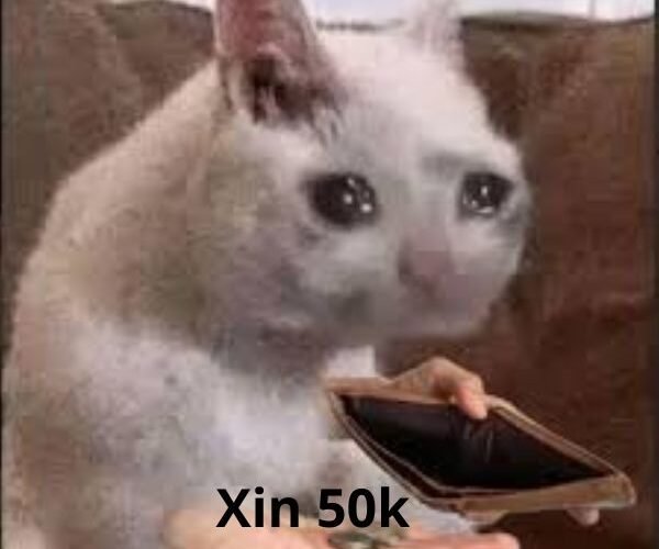 ảnh tay cầm tiền trolll