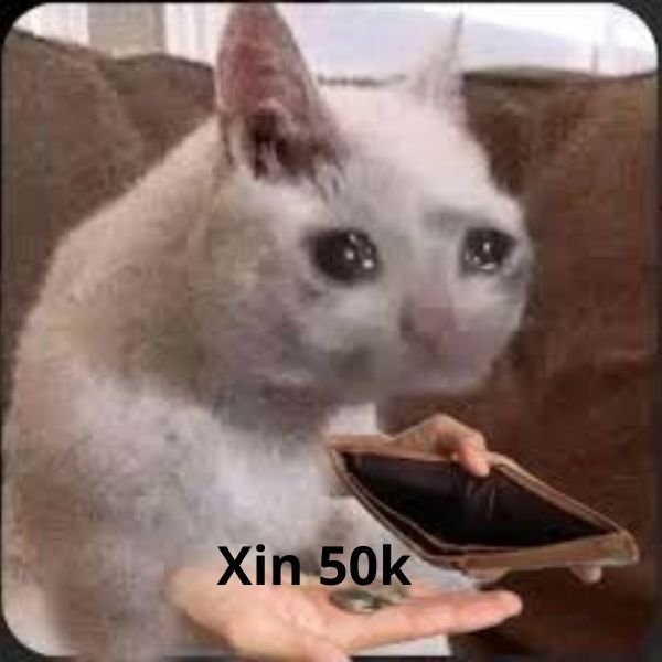 ảnh tay cầm tiền trolll