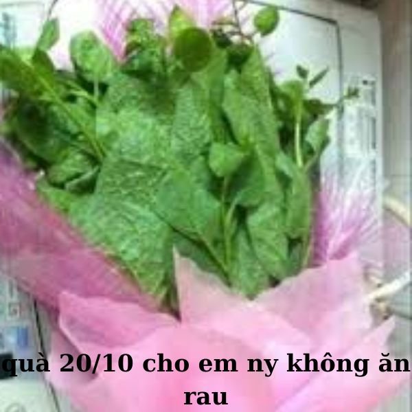 ảnh troll 20.10 bó rau