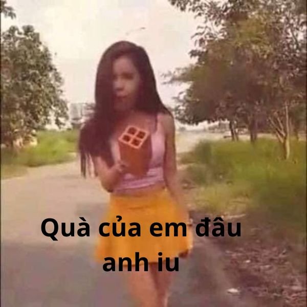 ảnh troll 20.10 đòi quà