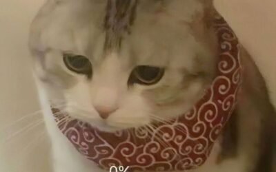 ảnh troll 20.10 nụ cười tắt