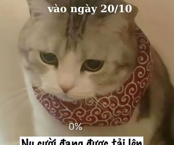 ảnh troll 20.10 nụ cười tắt