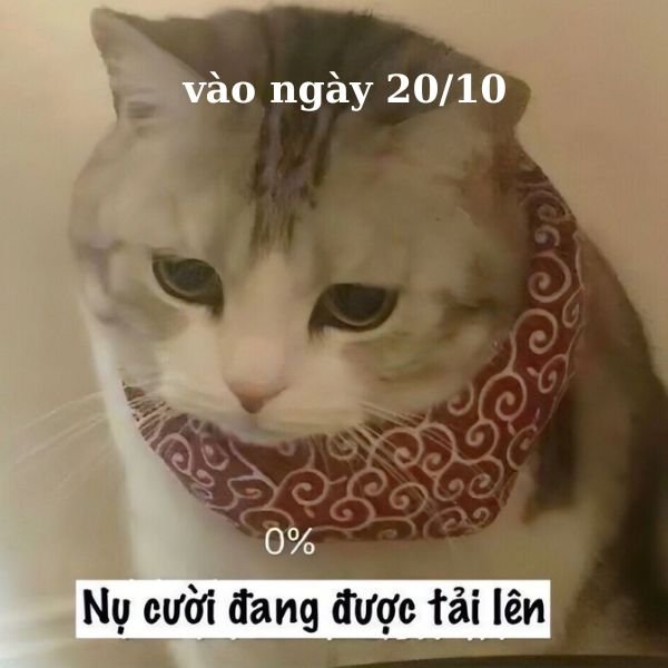 ảnh troll 20.10 nụ cười tắt