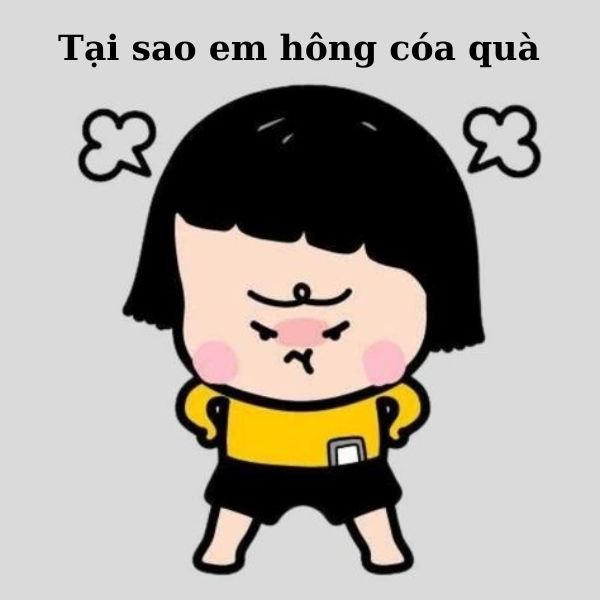 ảnh troll 20.10 tức