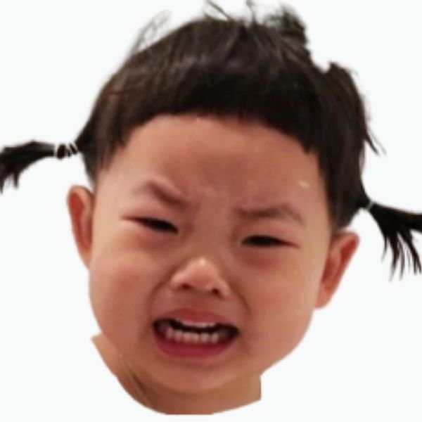 ảnh troll khóc buộc tóc 2 bím