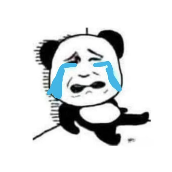 ảnh troll khóc gấu