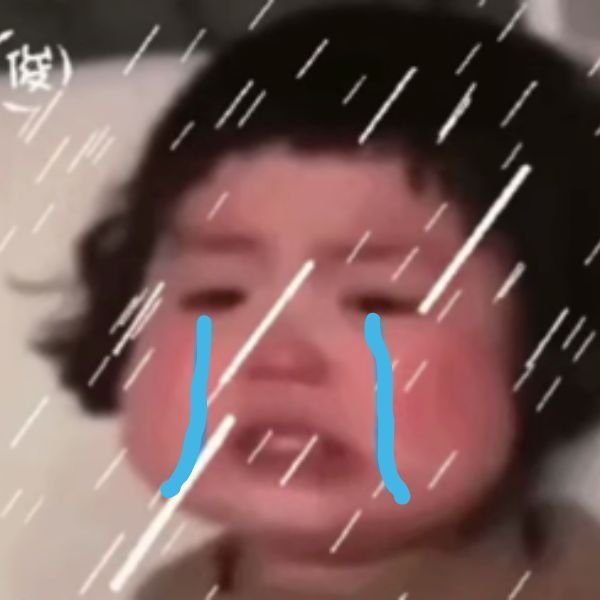 ảnh troll khóc như mưa