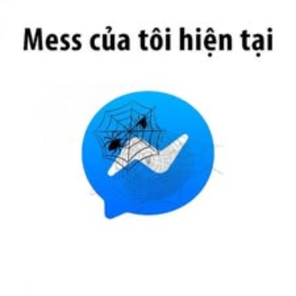 ảnh troll messenger mes của tôi