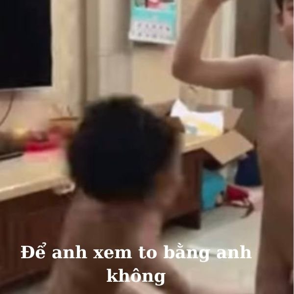 ảnh video troll chim