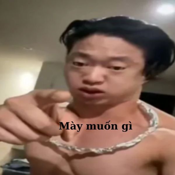 ảnh video troll mày muốn gì
