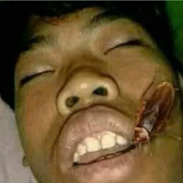 ảnh video troll ngủ há mồm