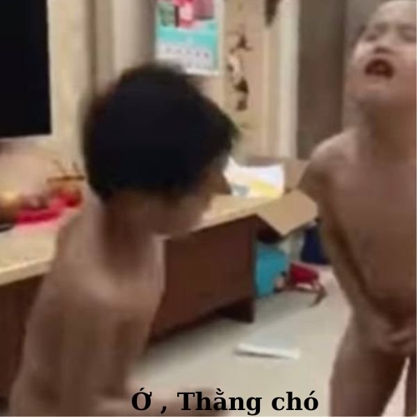 ảnh video troll thằng chó
