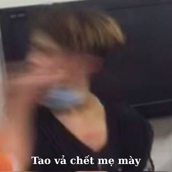 ảnh video troll vả chết mẹ mày