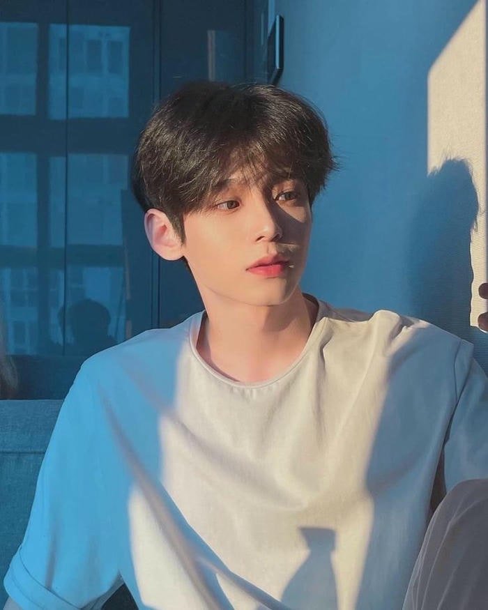 hình đầu nấm siêu chất