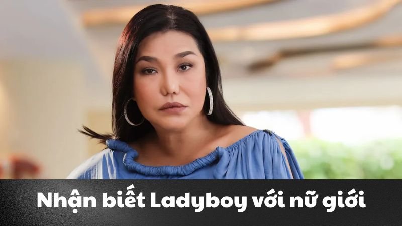 lady boy là gì 2