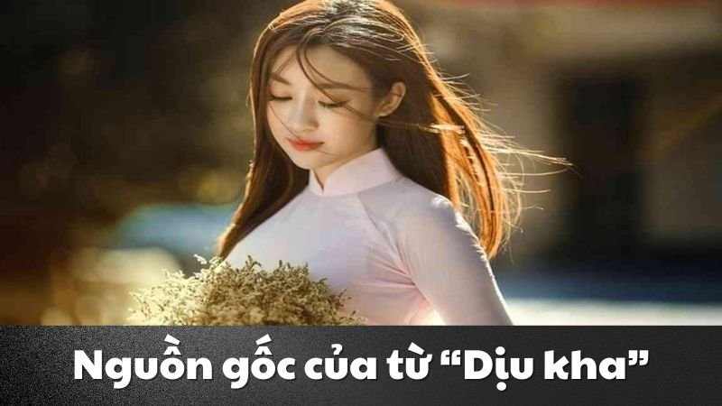 dịu kha là gì 1