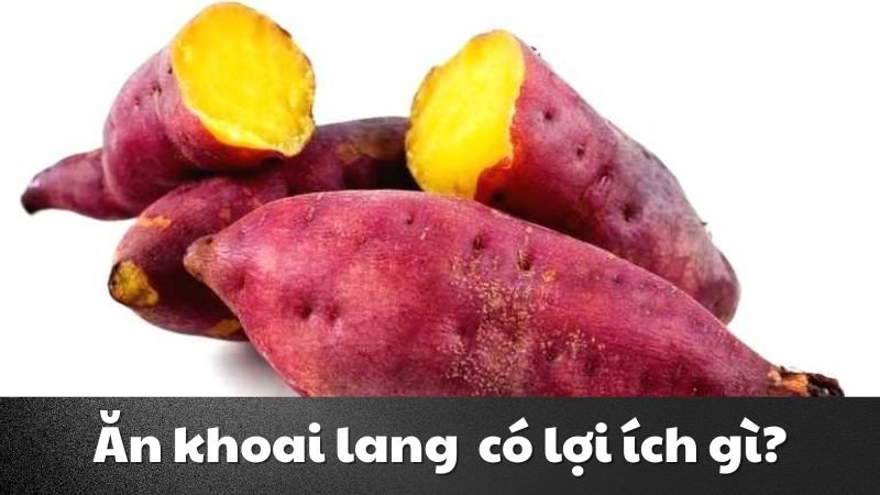 1 củ khoai lang bằng bao nhiêu chén cơm 1